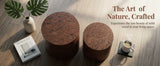 25631946