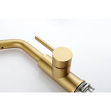 Single Handle Kitchen Sink Faucet Pull Out Sprayer