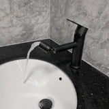 25663245