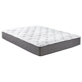 10' Quilted Hybrid Twin XL Mattress Medium Firm
