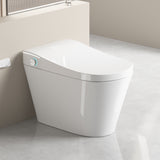 Unique Smart Toile, One Piece Toilet with Bidet Built