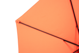 24899668