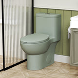 1.1/1.6 GPF Tornado Flush One-Piece Toilet ADA Height 17in, Dual Flush, Green