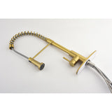 Single Handle Pull Down Spring Kitchen Faucet