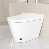 Unique Smart Toile, One Piece Toilet with Bidet Built