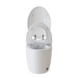Unique Smart Toile, One Piece Toilet with Bidet Built