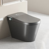 Unique Smart Toile, One Piece Toilet with Bidet Built