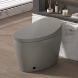 Smart Toilet with Bidet Built in, ADA One-Piece Toilet Auto Open/Close