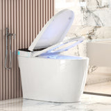 Smart Toilets with Heated Bidet Seat.Portable toilet