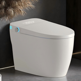 Tankless Smart Toilet With Bidet Built In, One-piece Bidet Toilet Seat