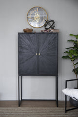 31.5" x 16.5" x 60" Black Cabinet