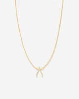 Just For Luck Wishbone Necklace