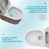 Ceramic One Piece Toilet for Bathroom, 12-inch Rough-In, 1.1/1.6 GPF