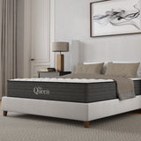 25381751