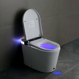 Smart Toilet with Bidet Seat Built-in, Auto Open/Close Seat, Foot Sensor