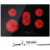 25620006