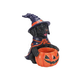 Halloween Black Labrador Retriever Witch Puppy Figurine, Cute Dog Holding Pumpki