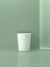 Compact Smart Toilet with Bidet Seat Built-in, Modern Tankless Design