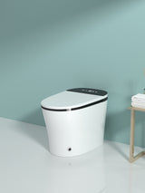 Smart Toilet with Bidet Built in, ADA One-Piece Toilet Auto Open/Close & Flush