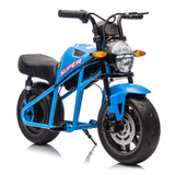 24V300W Kids Ride On XL Electric Toy Muscle Motorcycle,High-Speed Hub Motor,14''