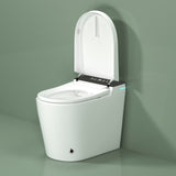 Compact Smart Toilet with Bidet Seat Built-in, Modern Tankless Design