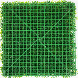 25624018