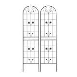 25557474