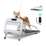 Smart Pet Treadmill Quiet Adjustable Speed Small Medium Dogs