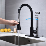 Kitchen Faucet Pull Out Sprayer Sink Mixer Tap