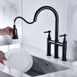 Bridge Kitchen Faucet with Pull-Down Sprayhead Spot