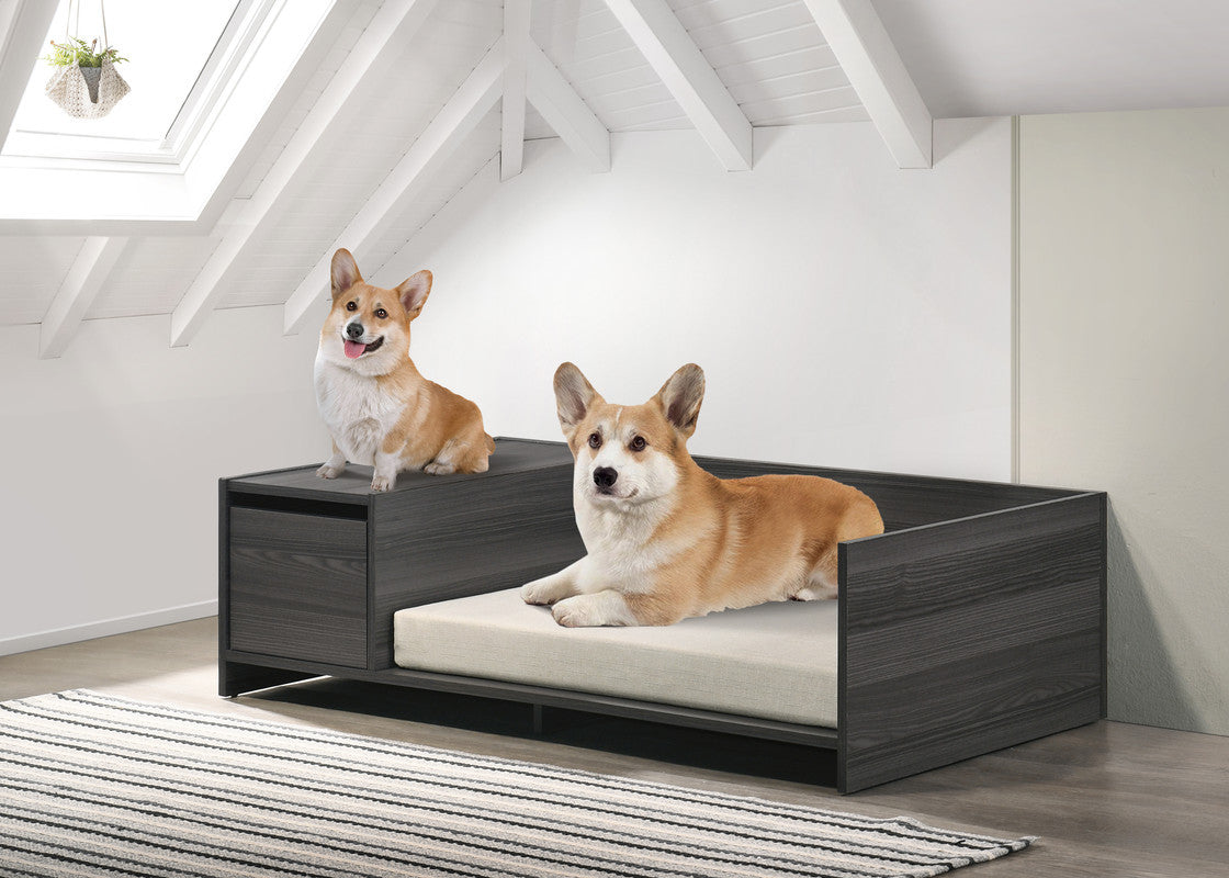 Enrica Ash Gray 47" Pet Bed with Storage Compartment