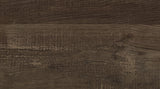 25591955