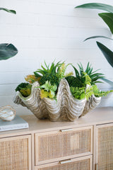 22.8x13.8x9.8' Decorative Shell Bowl
