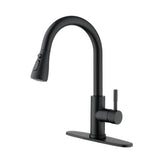 Kitchen Faucet with Pull Out Sprayer