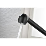 Single Handle Kitchen Sink Faucet With Pull Out Sprayer