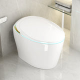 Unique Smart Toile, One Piece Toilet with Bidet Built