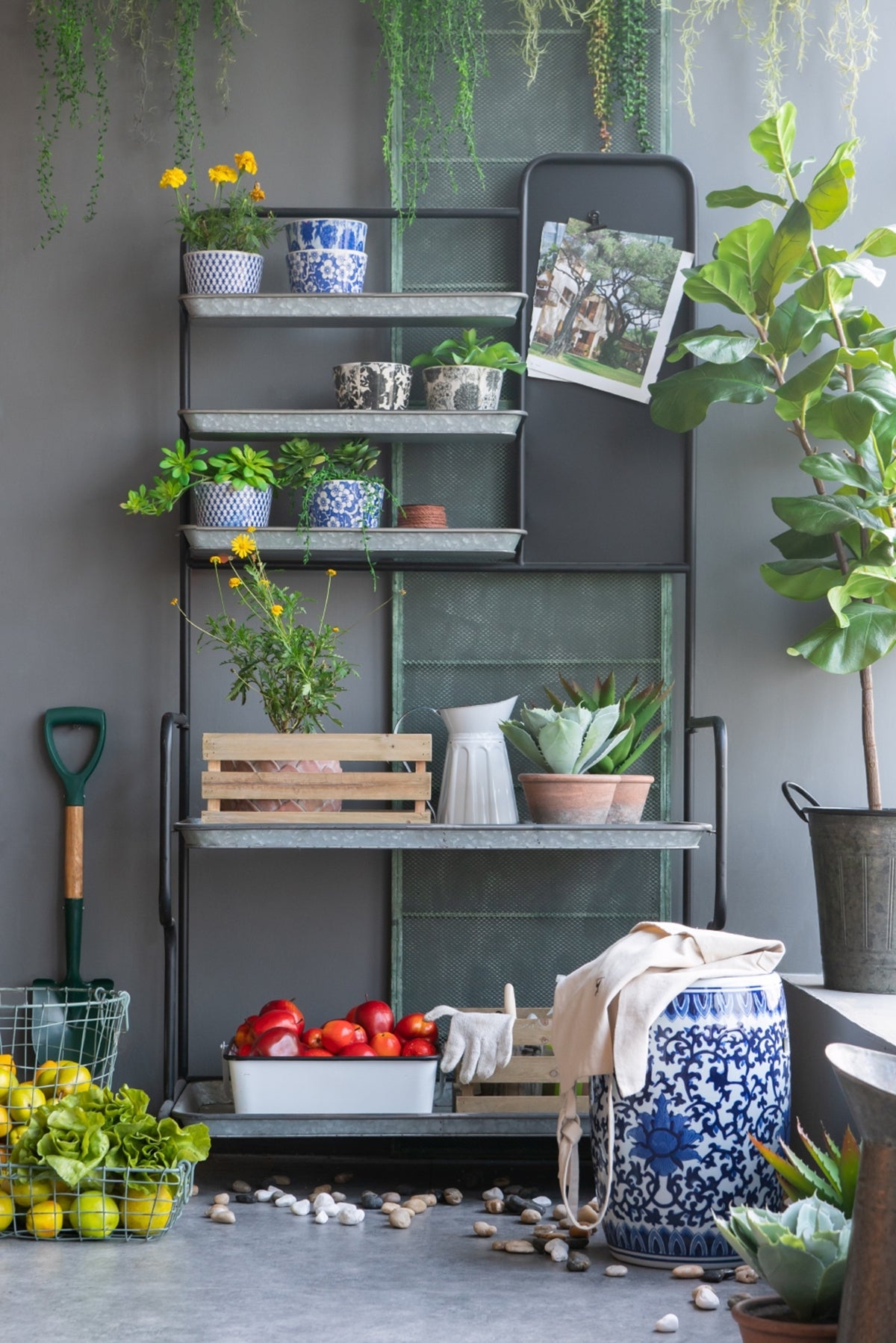 Rustic Metal Storage Shelf 36x18.5x70 Outdoor Plant Cabinet