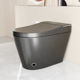 Unique Smart Toile, One Piece Toilet with Bidet Built