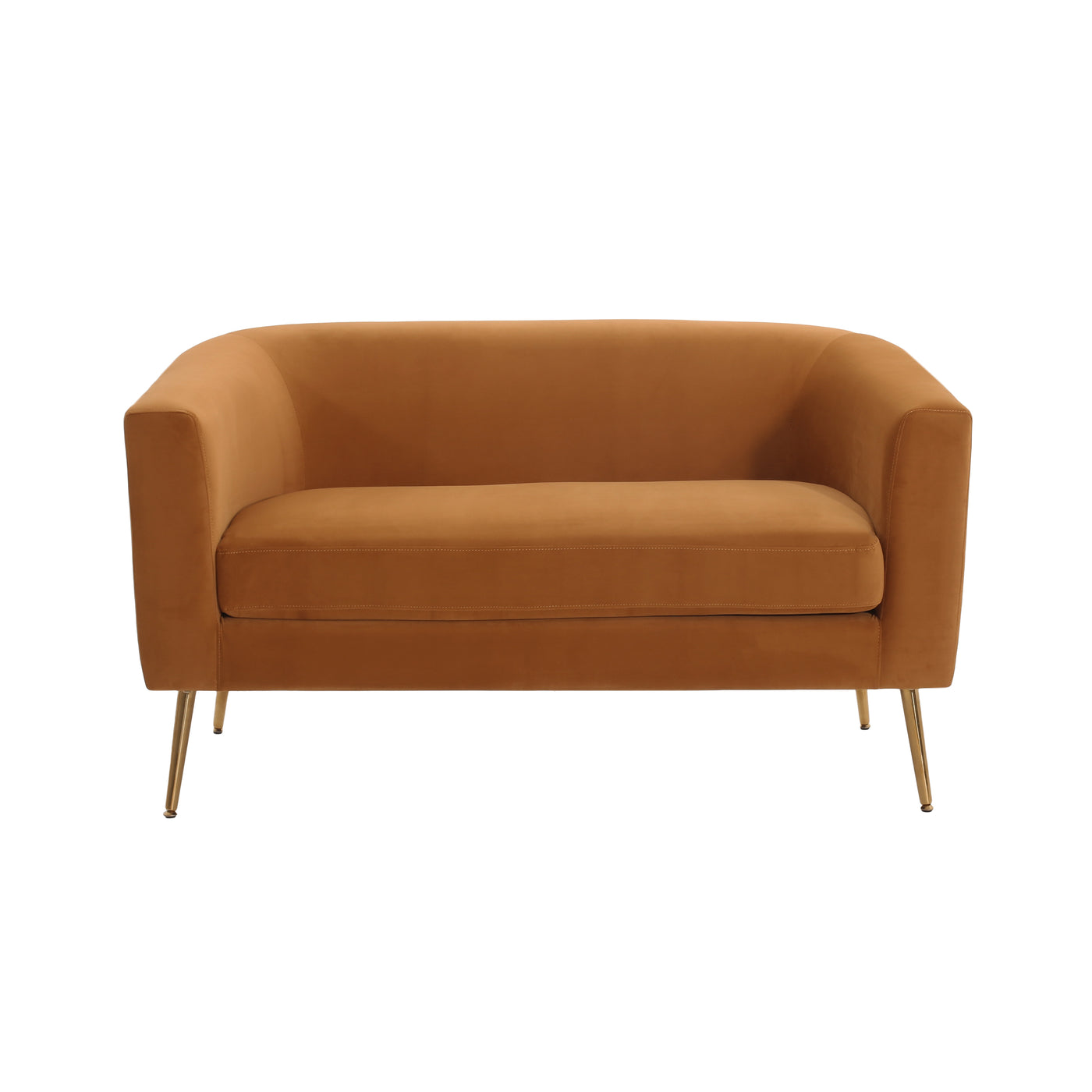 Modern Design Loveseat