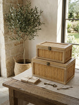 Woven Rattan Decorative Storage Boxes Set of 2
