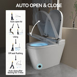 Unique Smart Toile, One Piece Toilet with Bidet Built