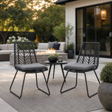Set of 2 Gray Chairs with 2 Cushions