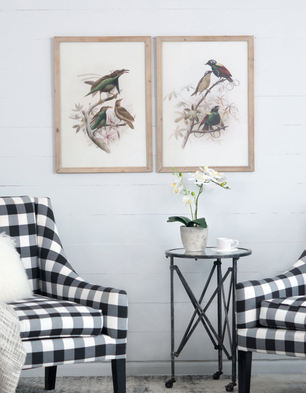 Bird Framed Print Set 19.5x27.5 Inches