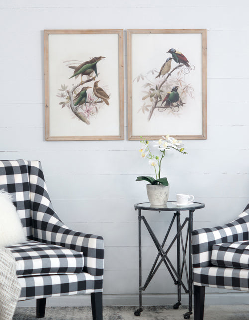 Bird Framed Print Set 19.5x27.5 Inches