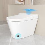 Unique Smart Toile, One Piece Toilet with Bidet Built