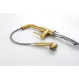 Single Handle Kitchen Sink Faucet Pull Out Sprayer
