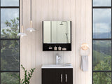 Black Mirror Cabinet Three Shelves Double Door