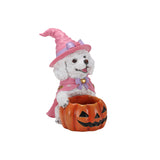 Halloween White Teddy Puppy Figurine, Witch Dog Holding Pumpkin Candy Bowl Decor