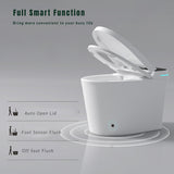 Modern Smart Toilet with Bidet Seat Built-in