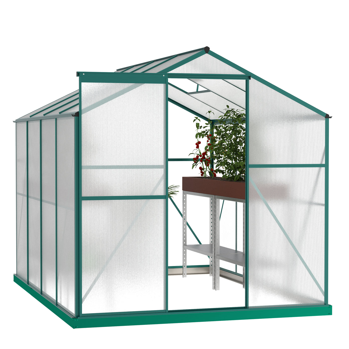 6' x 8' Heavy Duty Polycarbonate Walk-In Greenhouse